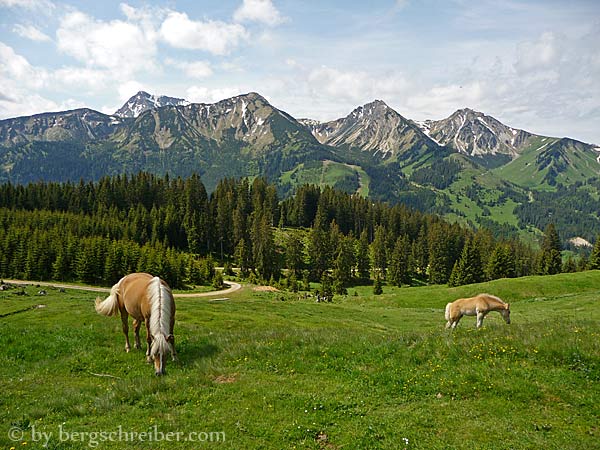 Haflinger auf der Weide, Blick auf Geißhorn, Rhonenspitze, Ponten und Bschießer