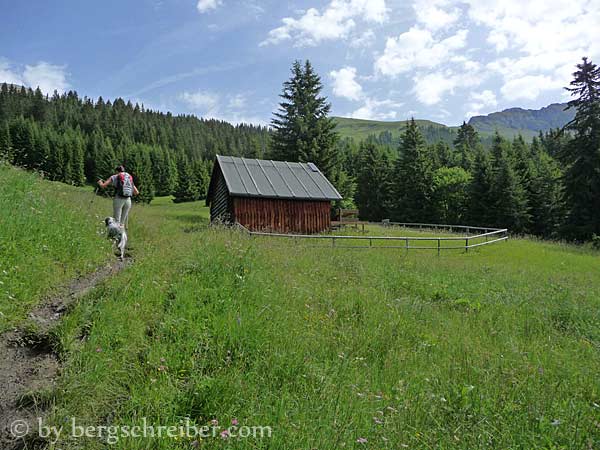 Aufstieg von Lähn zum Alpenrosensteig