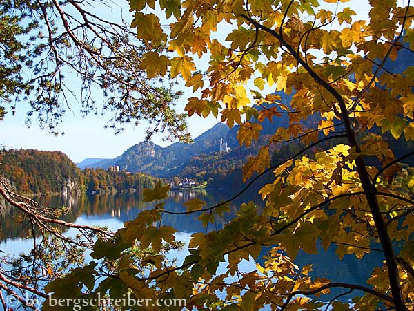 Herbstimpression am Alpsee