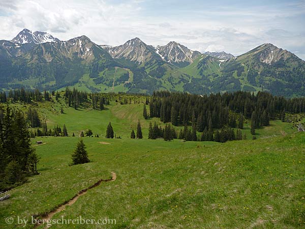 Der Wanderweg zum Pirschling, Blick hinab zum Hochmoor. Von links: Geißhorn, Rhonenspitze, Ponten, Bschießer, Kühgundkopf