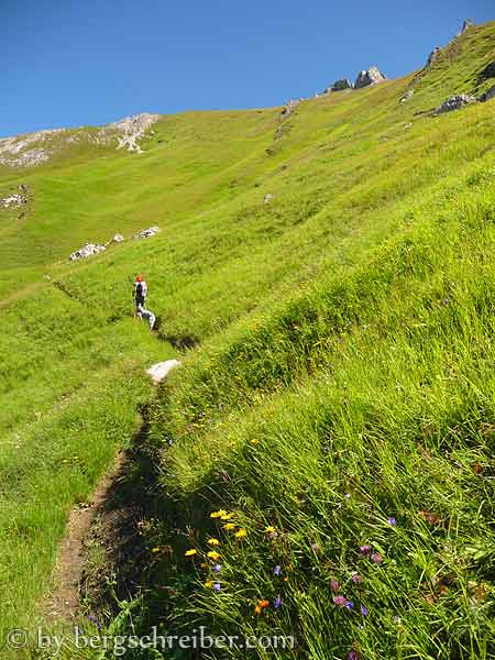Steilgrashänge mit seltenen Alpenblumen