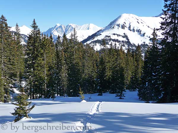 Schneeschuh-Aufstiegsspur im Hochwald, die Berge im Hintergrund: Hönig, Bleispitze und Zugspitze