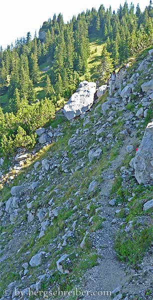 Settelesteig, ein schmaler Bergweg in teils steilem Gelände am Fuße der schattigen Nordwand des Hohen Straußbergs