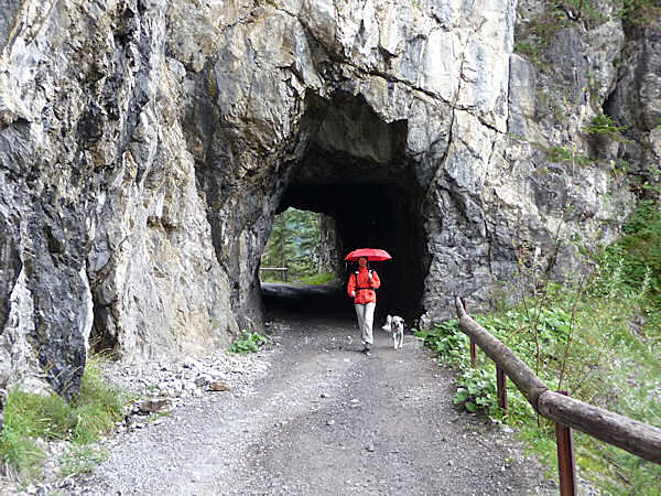 Tunnel beim Abstieg von der Stablalm.