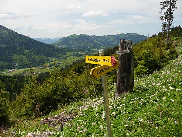 Abzweig vom Güterweg zum Schönkahler, die Grasberge im Hintergrund: Spieser und Wertacher Hörnle